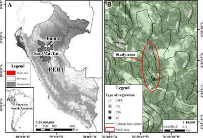 Carbon reserves in coffee agroforestry in the Peruvian Amazon